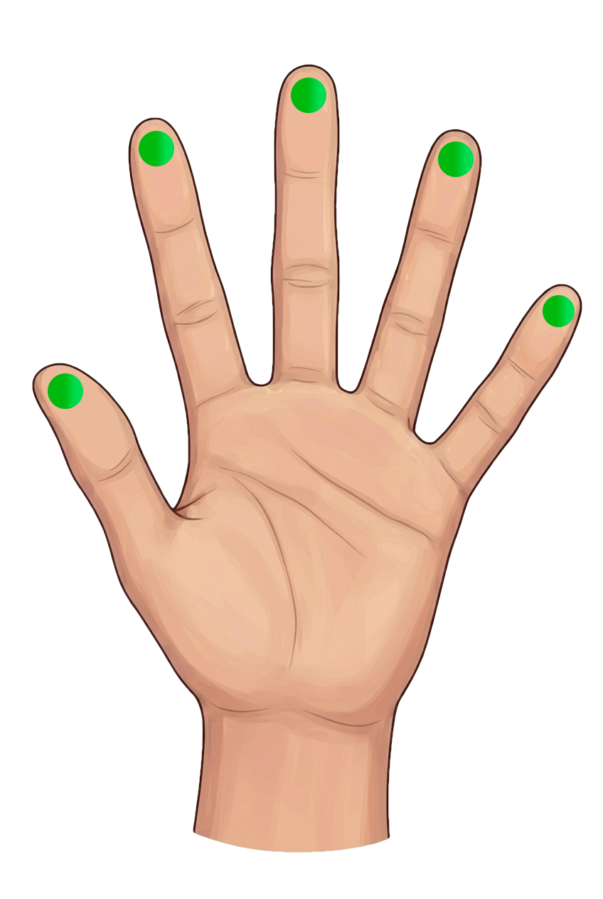 各指の先端の腹に、クライアントが自分で緑の丸を配置した参照画像