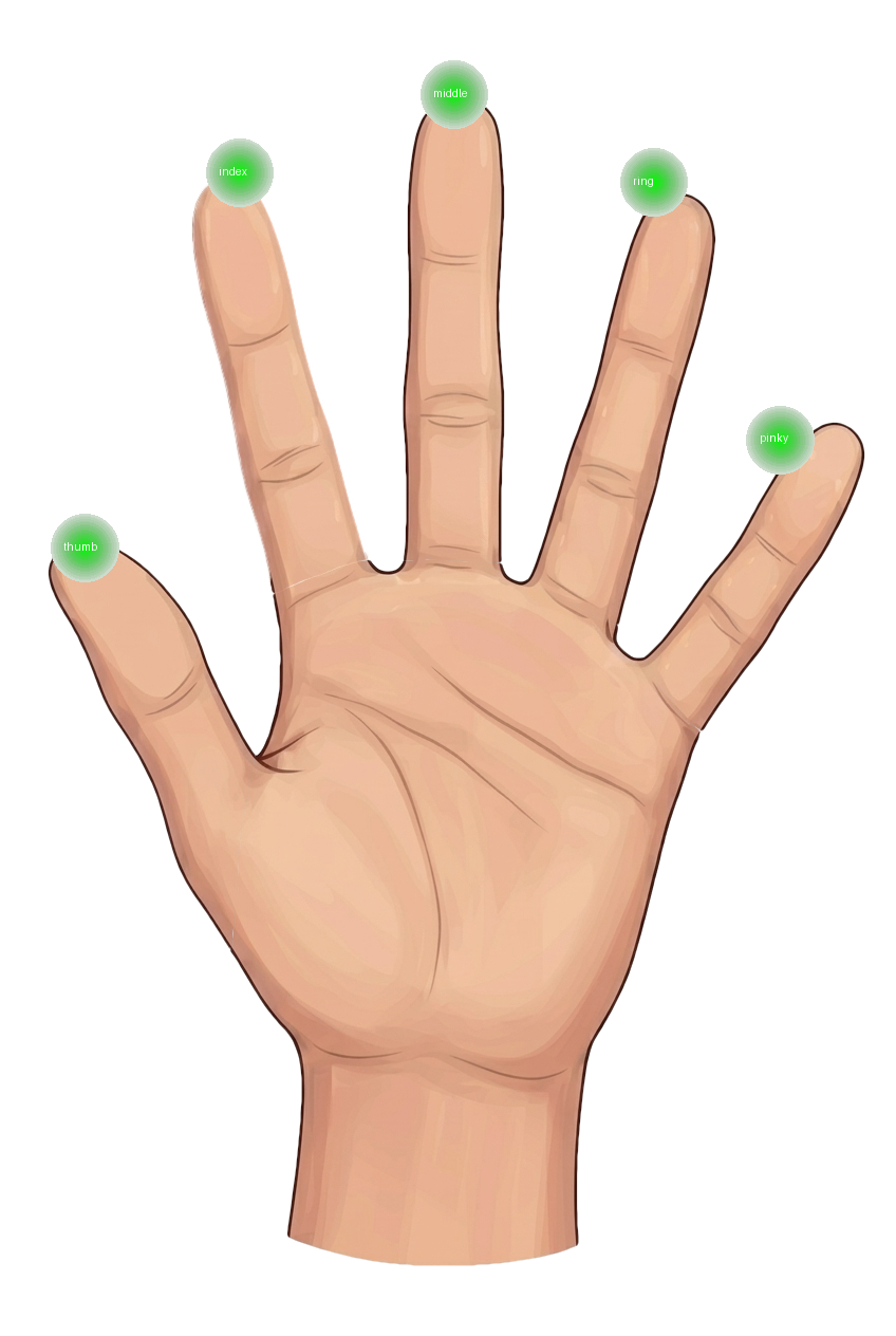 手の絵の各指先に緑色の丸が乗っている。丸には thumb・index・middle・ring・pinky のラベルが付いている