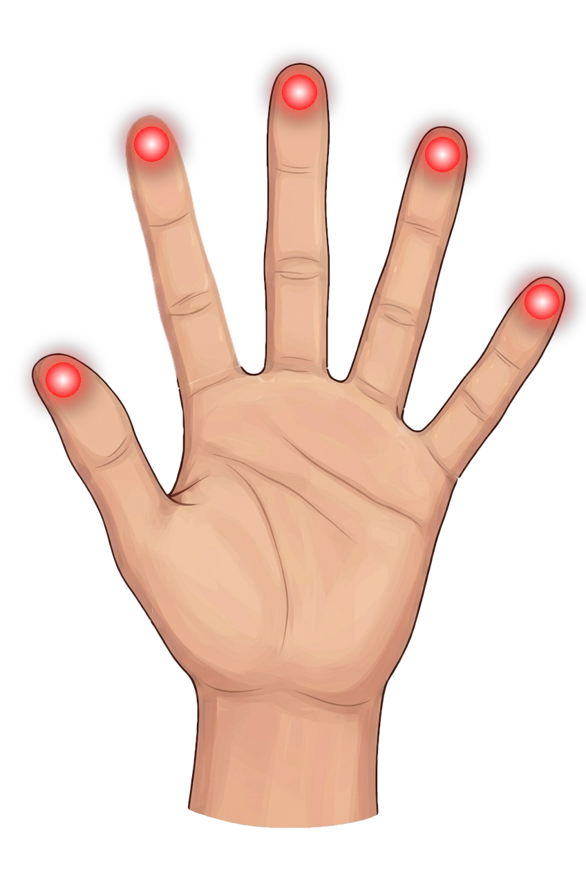 赤い丸が5つとも指先の腹の上に収まっている。親指の丸も指の中にある